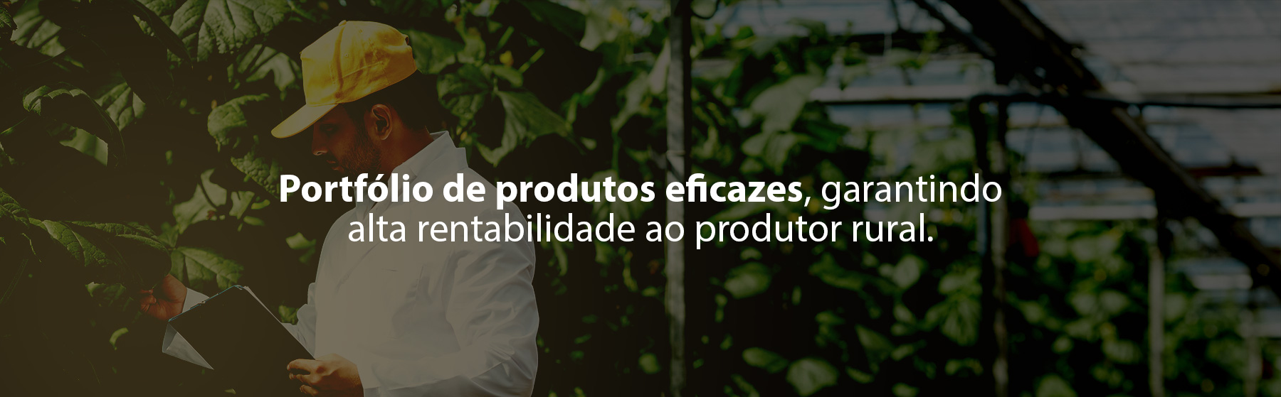 Portfólio de produtos eficazes